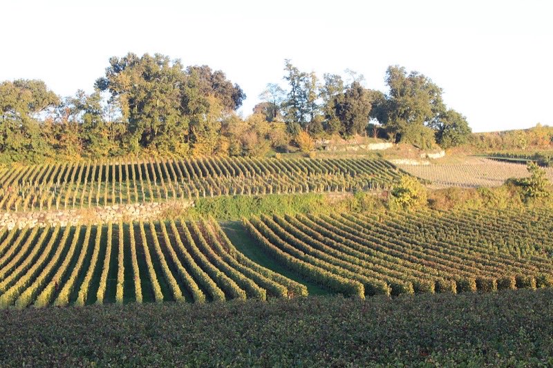 Le vignoble de Saint-Émilion vu depuis les coteaux