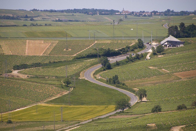 Le vignoble de Sancerre au-dessus de la Loire