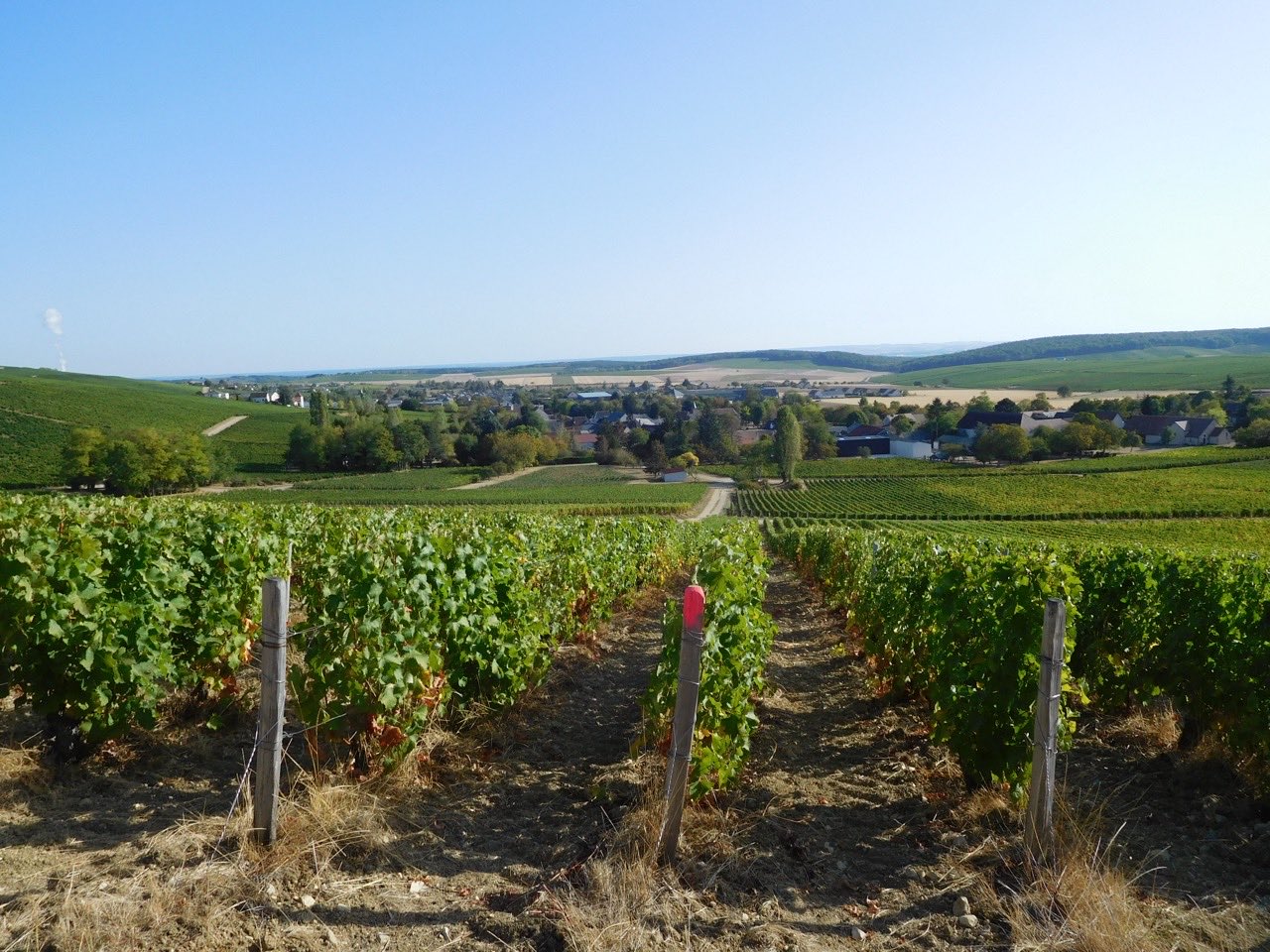 Le village de Verdigny et son vignoble, dans l’aire de l’appellation Sancerre