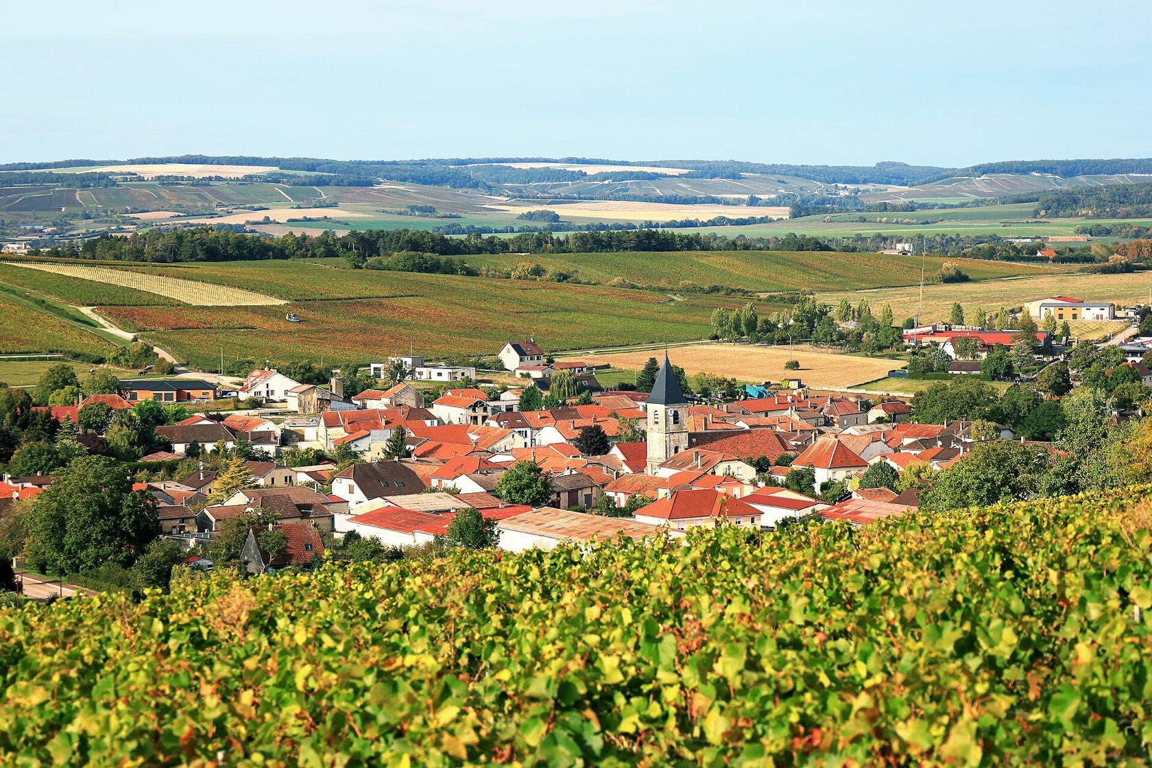 Le village de Baroville et son clocher, au milieu des vignes de la Côte des Bar, sous un ciel bleu