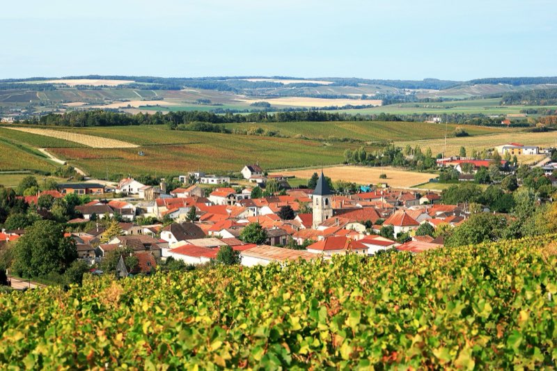 Le village de Baroville et son clocher, au milieu des vignes de la Côte des Bar, sous un ciel bleu