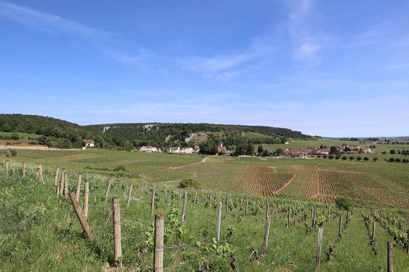 Le village de Chambolle-Musigny entouré de ses vignes