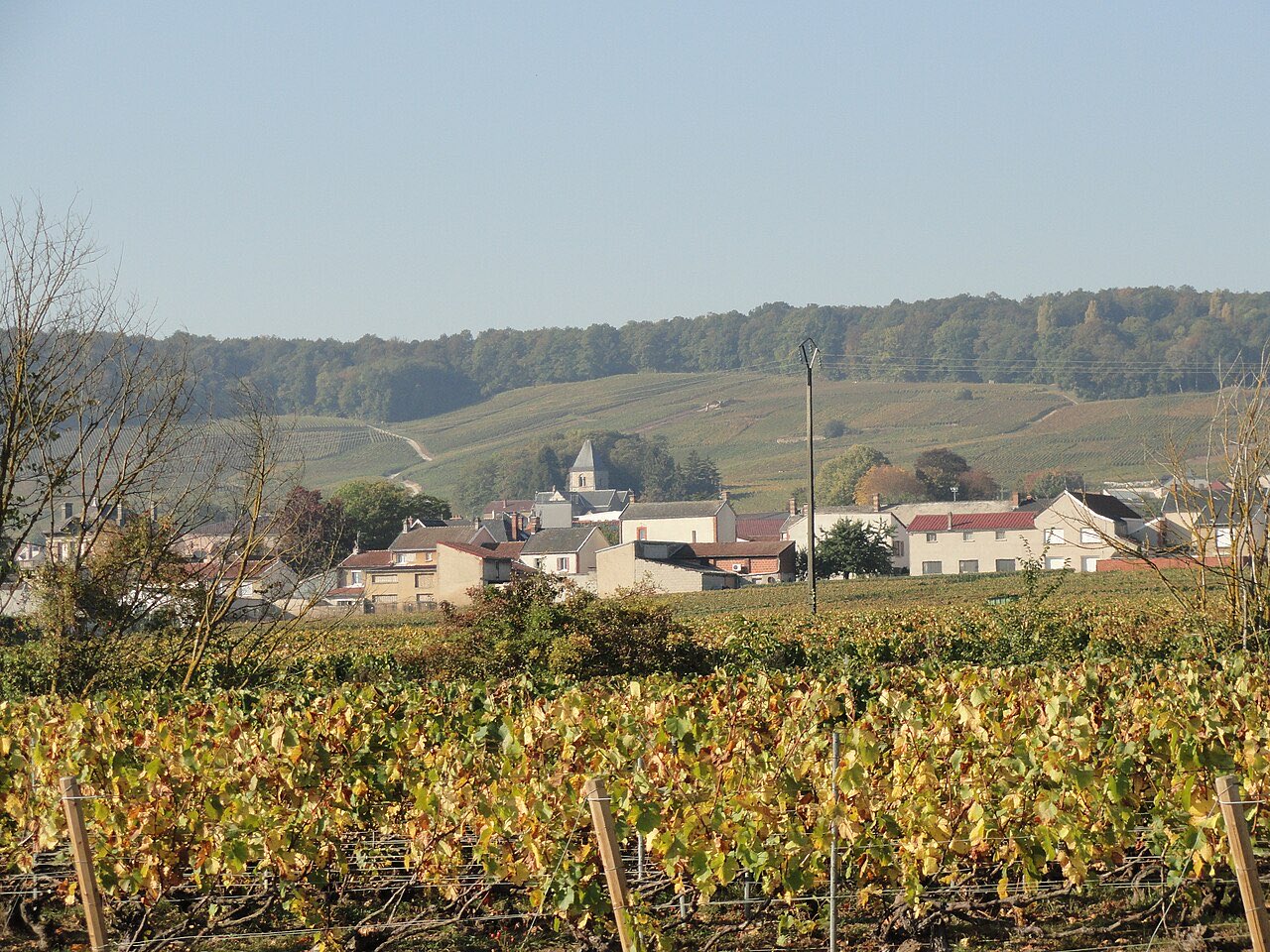 Le village du Mesnil-sur-Oger et ses vignes à l’automne, vus depuis la route départementale