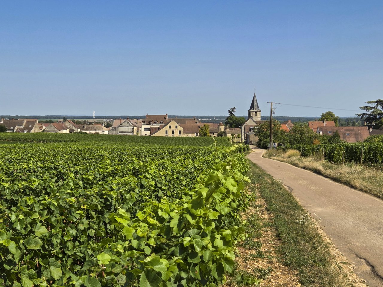 Le village de Vosne-Romanée et son vignoble, en Côte de Nuits