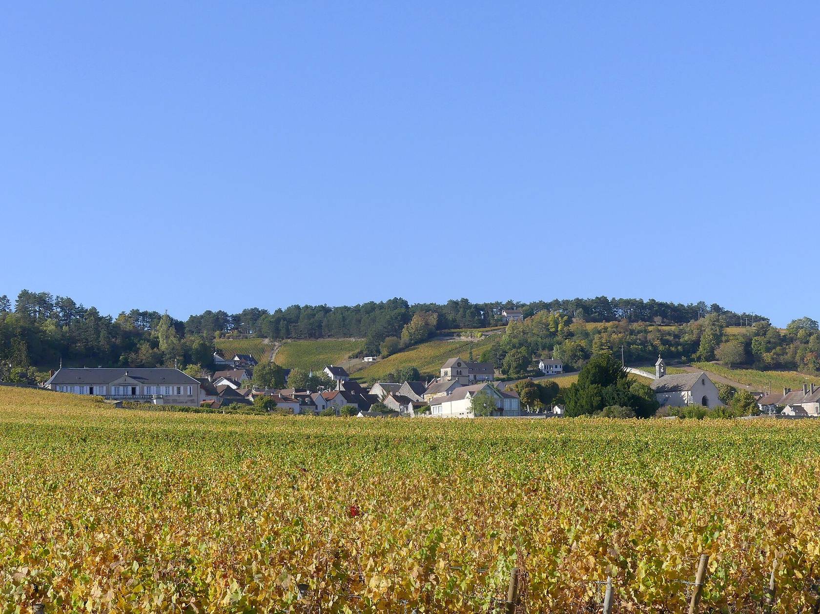 Le village de Volnay entouré de ses vignes aux couleurs d’automne, en Côte-d’Or
