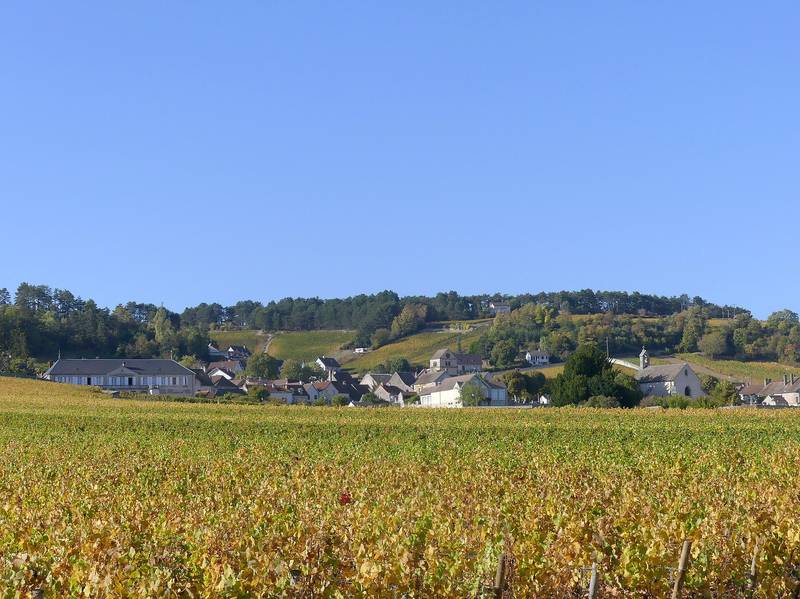 Le village de Volnay entouré de ses vignes aux couleurs d’automne, en Côte-d’Or